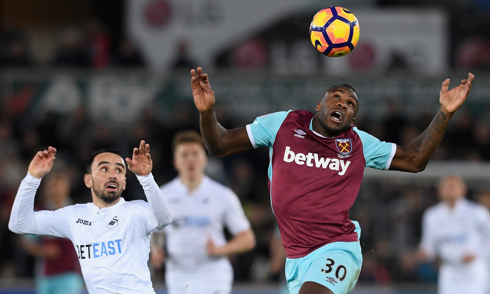 望在未来焕 望在未来焕